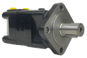 SMSA-250-ALW|250 CC motor 4 bolt SAE A mount 1.25" shaft with threaded mount holes for relief by ports. #10 SAE Ports