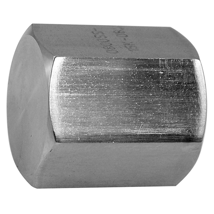 0800SS-15K-08 1/2" TYPE 316 STAINLESS STEEL 15000 PSI WATER BLAST PIPE (NPTF) CAP