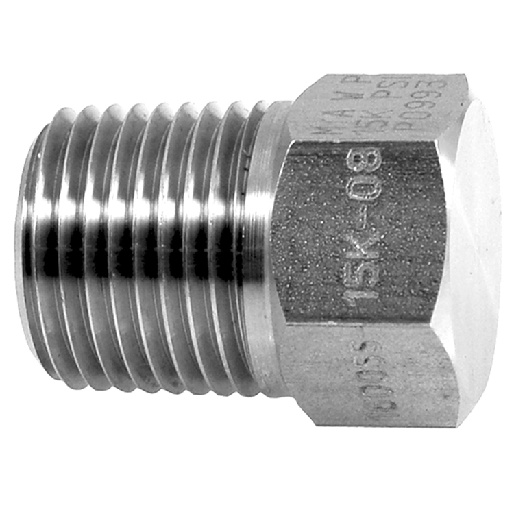 1600SS-15K-08 1/2" TYPE 316 STAINLESS STEEL 15000 PSI WATER BLAST PIPE (NPTF) PLUG