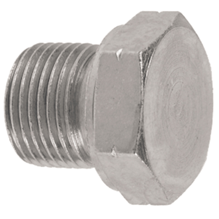 36000-16 1" BSP PARALLEL HEX PLUG
