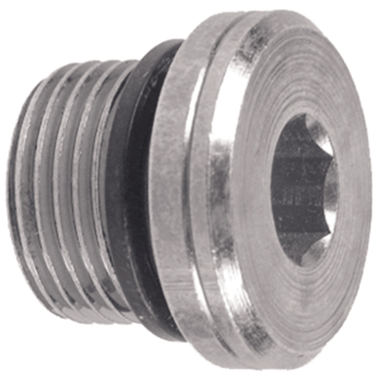 36000H-20 1-1/4" BSP PARALLEL HOLLOW HEX PLUG (COMPLETE WITH O-RING)